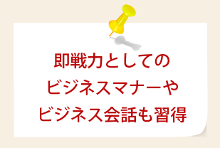 即戦力としてのビジネスマナーやビジネス会話も習得